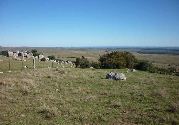 Pedras Altas no Pampa gaúcho