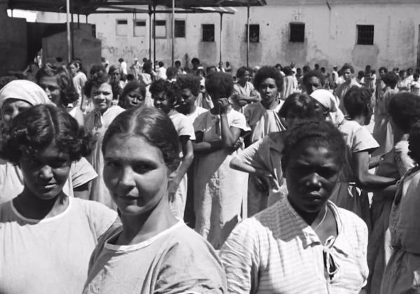 holocausto brasileiro