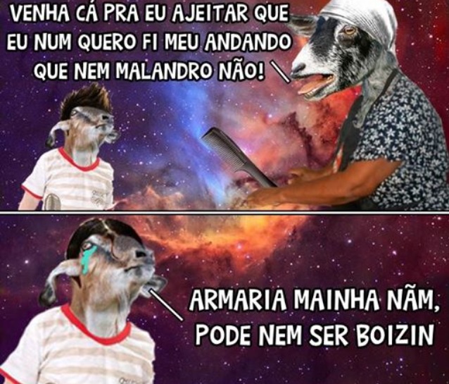 Bode Gaiato