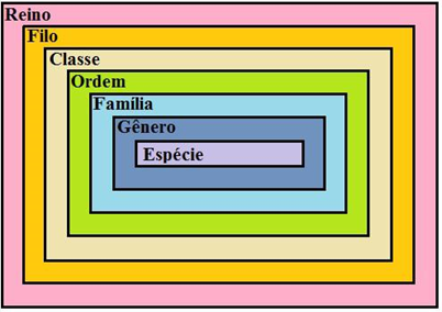 taxonomia de Lineu