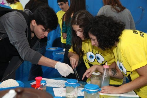 Exposição com Bob Esponja
