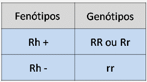 fenótipo genótipo