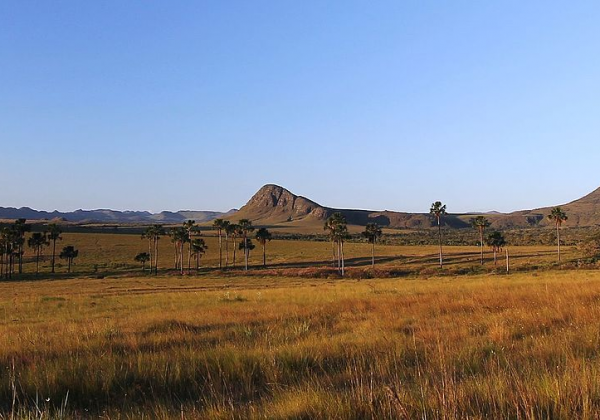 Chapada veadeiros