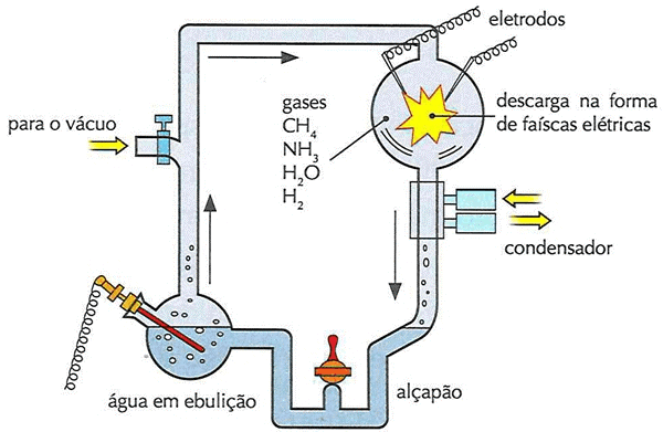 experimento-Miller-Urey-célula