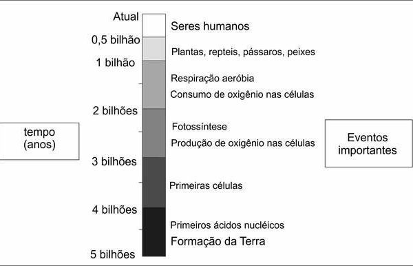quadro-esquema-células