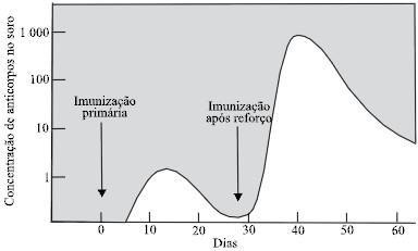 gráfico-zoologia