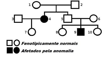 heredograma