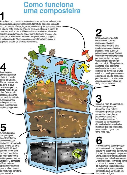composteira-fungos-bacterias