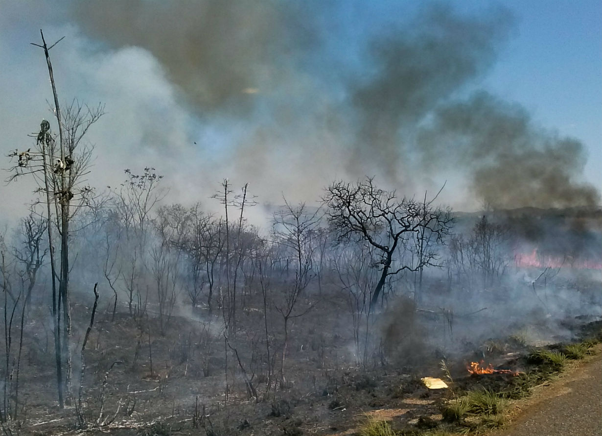 Foto de uma reserva ambiental pegando fogo.